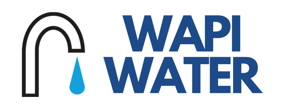 Logo WAPI WATER